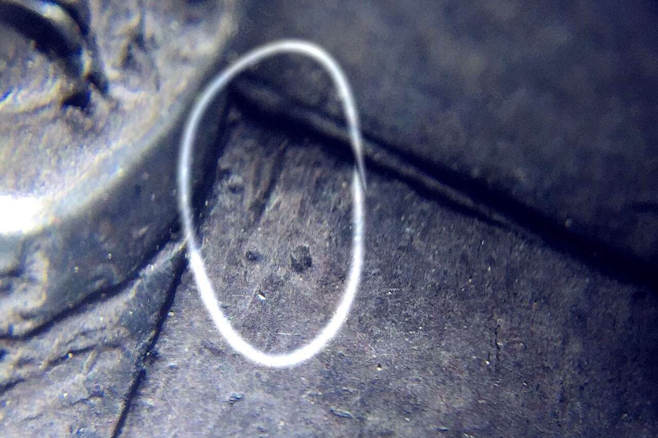 龙婆术2501