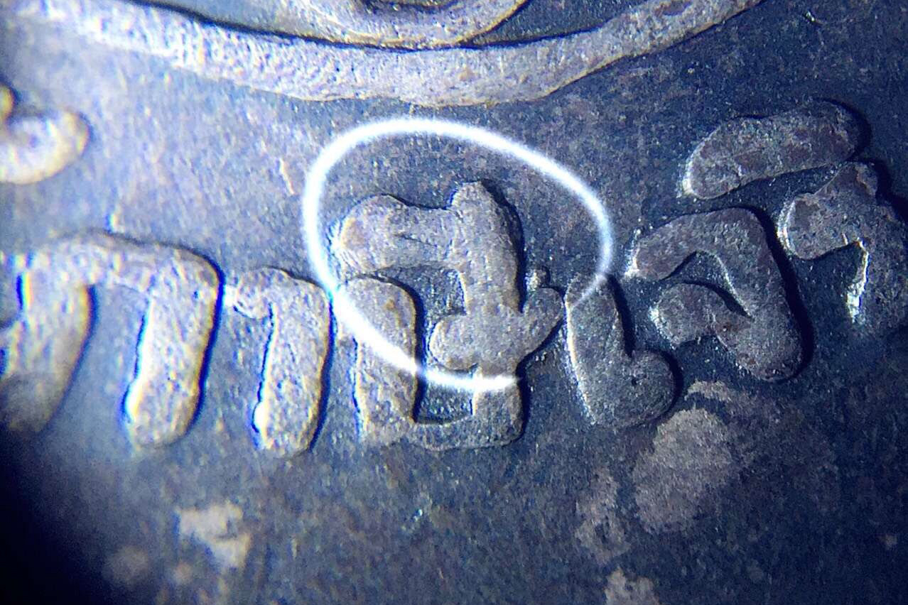 龙婆术2501