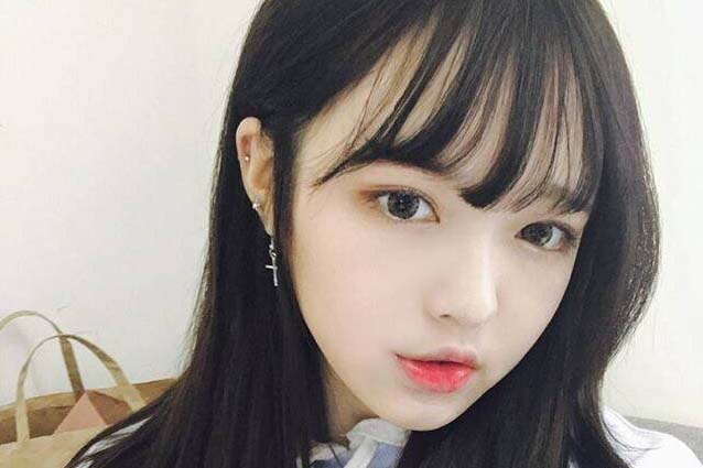 曼陀罗华狮子座今年的运势,之每周运势11月5日-11月11日