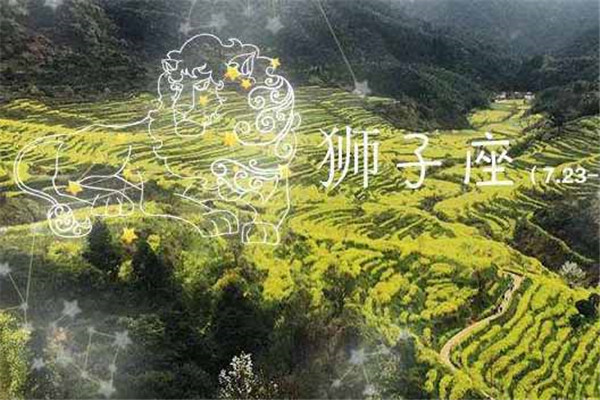 今日狮子座的运势：当狮子座的男生们惹哭了女票，他们会这样哄