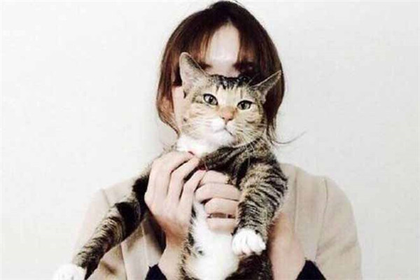 狮子座双鱼座：呆萌男友，狮子座的男生们的可爱逻辑